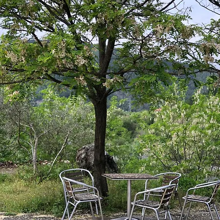 Hotel Xhej